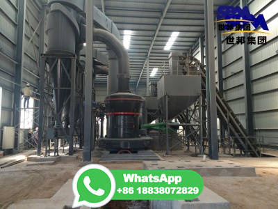 India Customer Visit Our Factory for Calcium Carbonate Grinding Mill